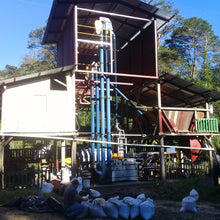 Load image into Gallery viewer, ’Nicaragua Santa Maria de Lourdes ”Parainema”