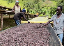 Load image into Gallery viewer, ’Ethiopia Wush Wush Natural