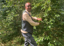 Load image into Gallery viewer, ’Ethiopia Wush Wush Natural