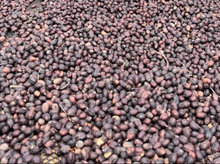 Load image into Gallery viewer, ’Ethiopia Wush Wush Natural