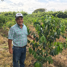 Load image into Gallery viewer, Colombia Santa Monica Ombligon