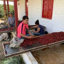 Load image into Gallery viewer, Colombia Santa Monica Ombligon