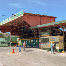 Load image into Gallery viewer, Costa Rica Corralillo