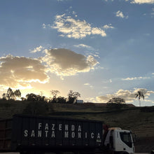 Load image into Gallery viewer, ’Brazil Santa Mônica【Geisha】