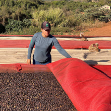 Load image into Gallery viewer, ’Brazil Santa Mônica【Geisha】