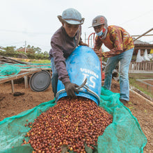 画像をギャラリービューアに読み込む, Indonesia Frinsa Sarapan#2