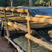 画像をギャラリービューアに読み込む, El Salvador CaféNor Pacamara