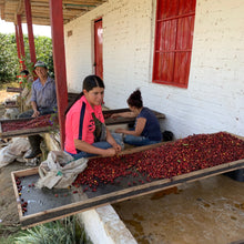 Load image into Gallery viewer, ’Colombia Jairo Arcila【Banana】