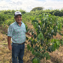 Load image into Gallery viewer, ’Colombia Jairo Arcila【Lulo】