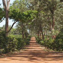 画像をギャラリービューアに読み込む, ’Kenya Kutere AB