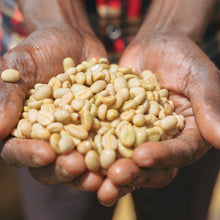 Load image into Gallery viewer, Kenya Kevote AB