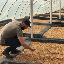 Load image into Gallery viewer, Colombia Finca Milan【Nitro】