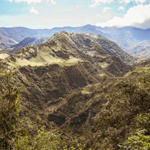 画像をギャラリービューアに読み込む, Colombia Los Patios Geisha【Peach】