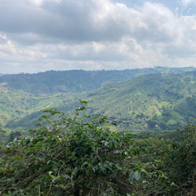 Load image into Gallery viewer, Colombia Finca Milan【Nitro】