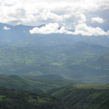 Load image into Gallery viewer, ’Colombia Finca Jardines del Eden 【Peach】