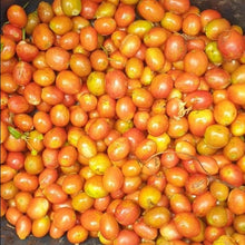 Load image into Gallery viewer, ’Colombia Granja Paraiso 92 【Geisha】