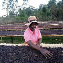 画像をギャラリービューアに読み込む, ’Ethiopia Halo #19 Birhanu Dido