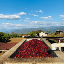 画像をギャラリービューアに読み込む, ’Guatemala Q’ejna