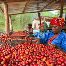 Load image into Gallery viewer, ’Rwanda Humure Anaerobic Natural