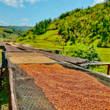 Load image into Gallery viewer, ’Rwanda Humure Anaerobic Natural