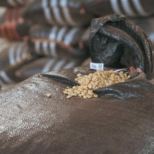 画像をギャラリービューアに読み込む, ’Peru Alto Inambari