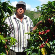 画像をギャラリービューアに読み込む, ’Costa Rica San Cristobal【COE#29】