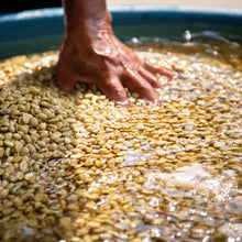 Load image into Gallery viewer, ’Guatemala Lomas Altas