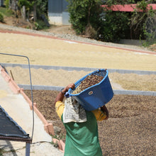 Load image into Gallery viewer, ’Costa Rica Finca El Dragon