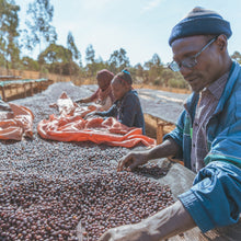 画像をギャラリービューアに読み込む, ’Ethiopia Moplaco