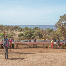 画像をギャラリービューアに読み込む, ’Ethiopia Moplaco