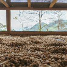 画像をギャラリービューアに読み込む, ’Peru Alto Inambari