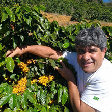 Load image into Gallery viewer, ’Brazil Sitio Da Torre