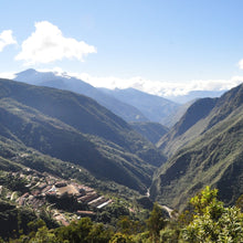 Load image into Gallery viewer, ’Bolivia Agro Takesi【Geisha Peaberry】