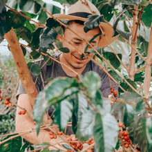 Load image into Gallery viewer, ’Colombia El Paraiso【Geisha "Letty"】