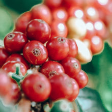 Load image into Gallery viewer, ’Colombia El Paraiso【Geisha "Letty"】