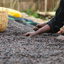 Load image into Gallery viewer, ’Ethiopia Arsosala