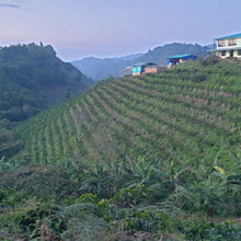 Load image into Gallery viewer, ’Colombia Granja Paraiso 92【Pink Bourbon】