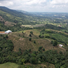 Load image into Gallery viewer, ’Colombia Granja Paraiso 92【Java】