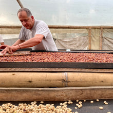 Load image into Gallery viewer, ’Colombia Red Anaerobic 1000h