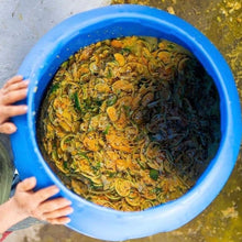 画像をギャラリービューアに読み込む, ’Colombia La Rivera【NIU】