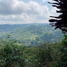 画像をギャラリービューアに読み込む, ’Colombia La Rivera【NIU】