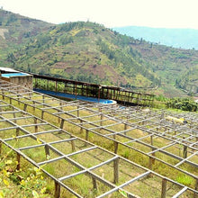 Load image into Gallery viewer, Rwanda Nkara 2024

