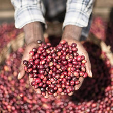 画像をギャラリービューアに読み込む, Ethiopia Chelbesa Natural
