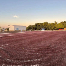 画像をギャラリービューアに読み込む, Brazil Fazenda Chapadão
