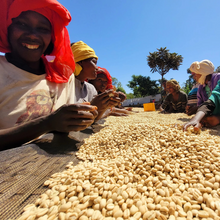 Load image into Gallery viewer, Ethiopia Lalesa Washed
